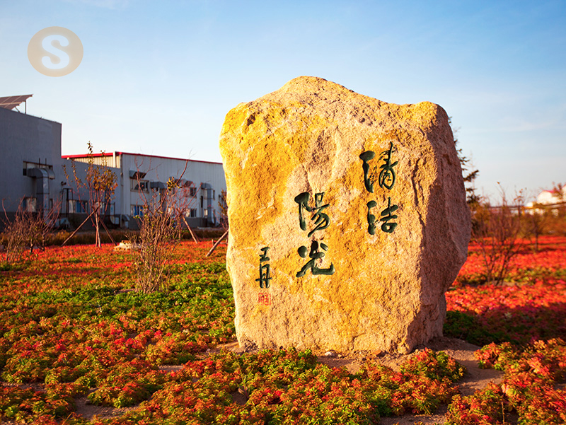 清洁阳光信想石
