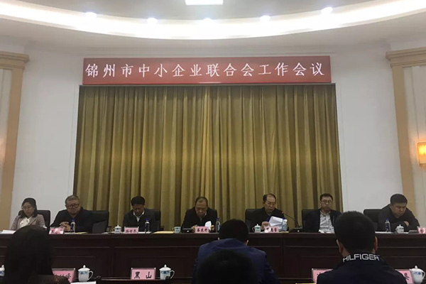 我公司参与全市中幼企业结合会工作会议并做讲话