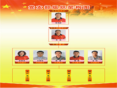 “党建树旗号，党员亮身份”