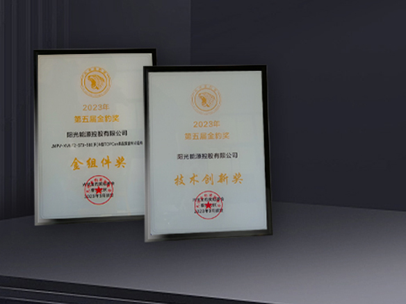 高光时刻 | 贝斯特获N型TOPCon金组件奖及技术创新奖双料奖项